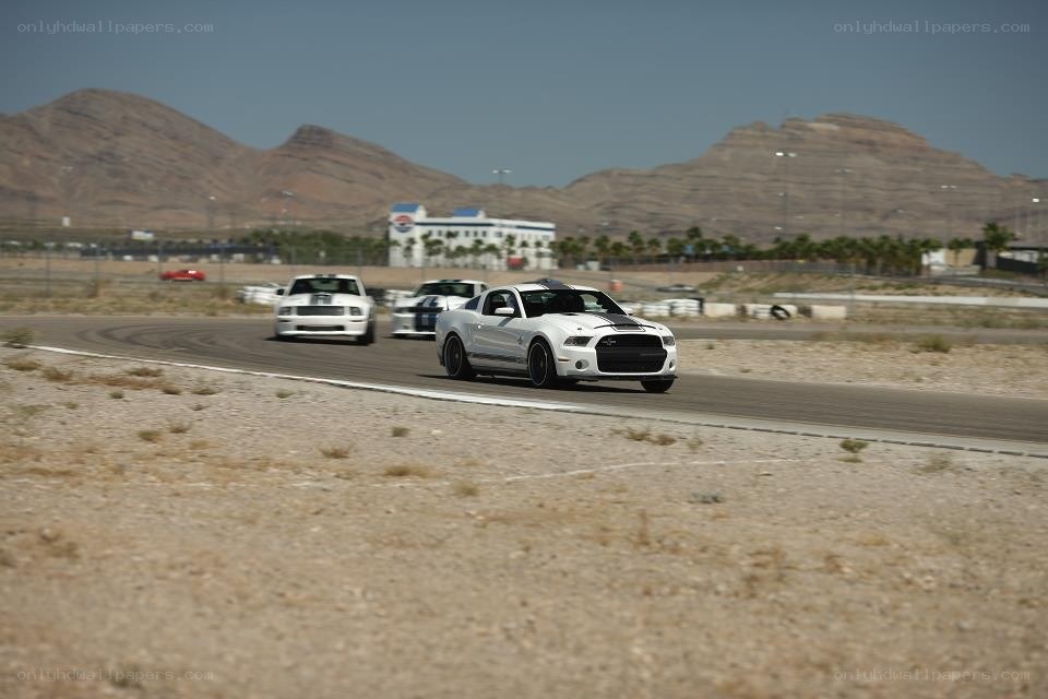 White Mustangs racing on a track