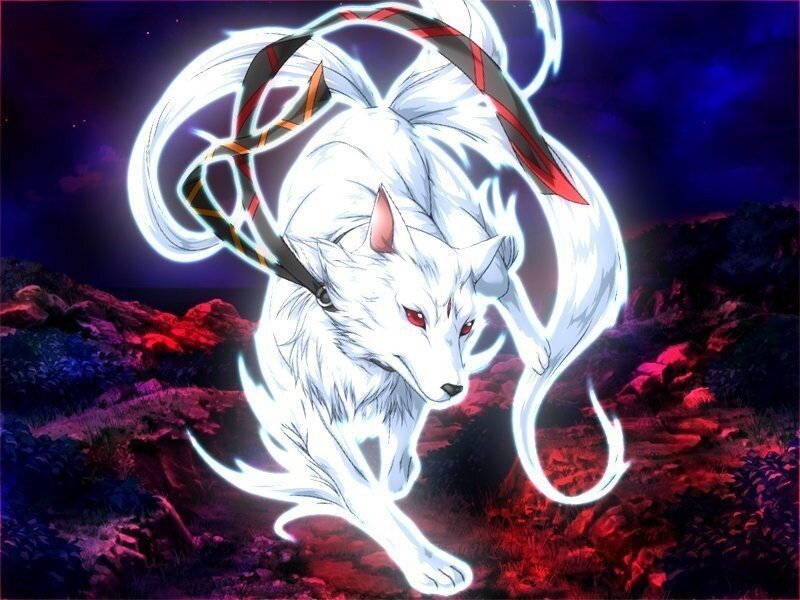 White Nine-tailed Fox — Dramatic, Night, Anime