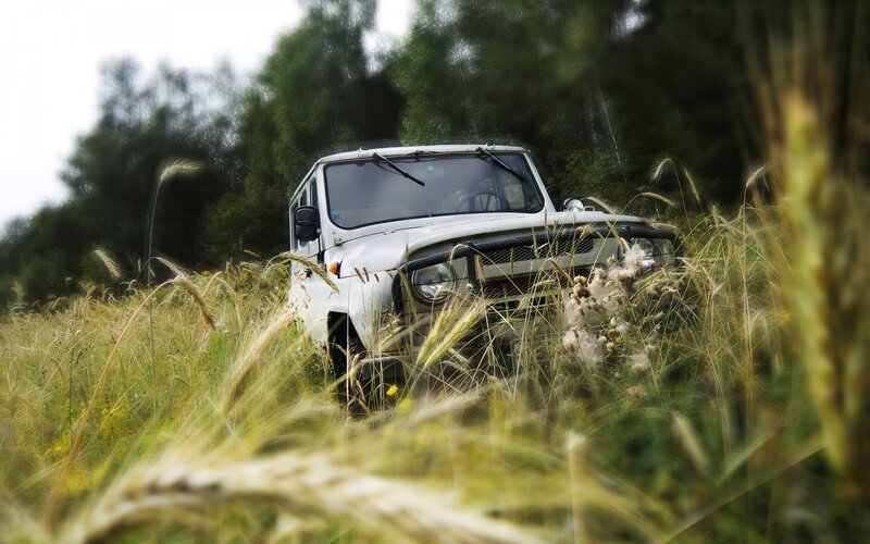 White off-road vehicle in tall grass