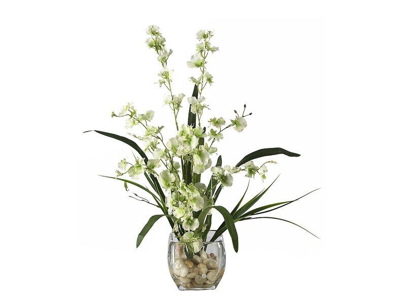 White Orchid Arrangement — Calm