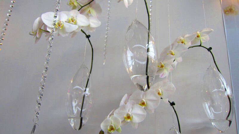 White Orchid Arrangement — Serene