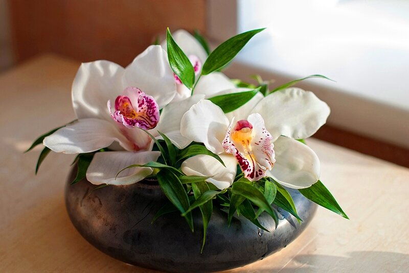 White Orchid Arrangement