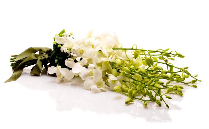 White Orchid Bouquet — Calm, Photograph, Green Ribbon