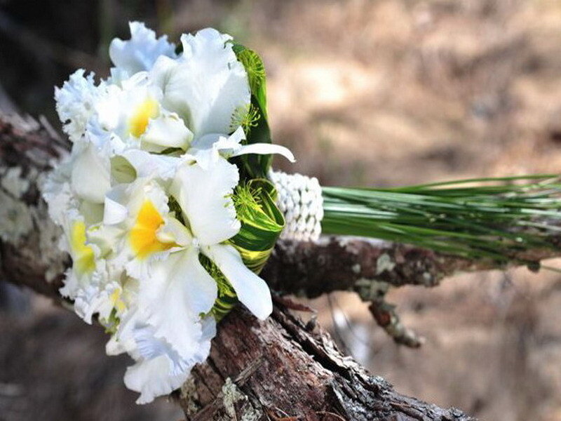 white orchid bouquet on branch