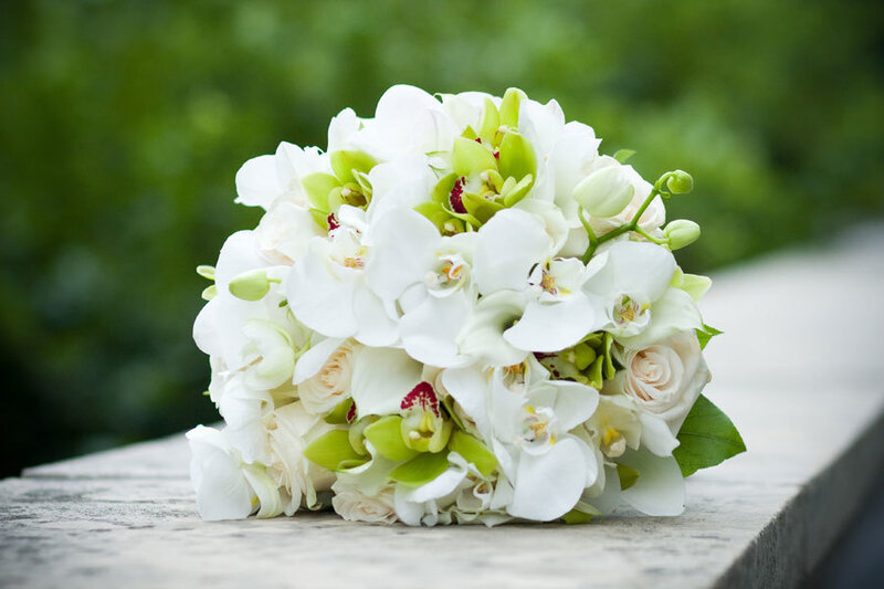 White Orchid Bouquet — Serene, Photograph