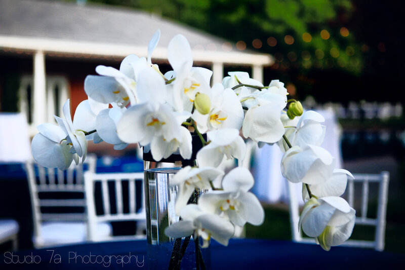 White Orchid Bouquet — Serene, Sunset