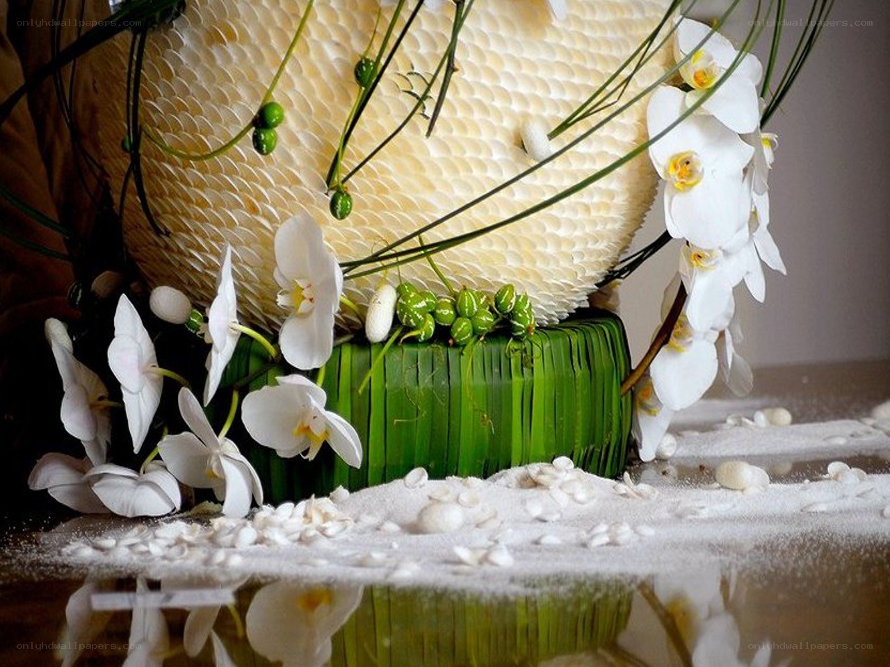 white orchid floral arrangement