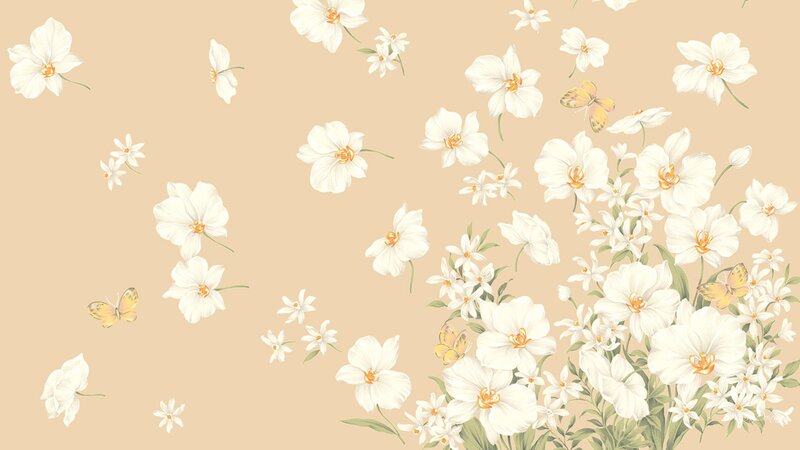 White Orchid Flowers — Beige