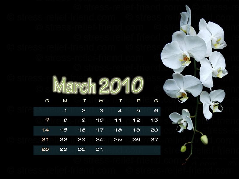White Orchid Flowers — Black