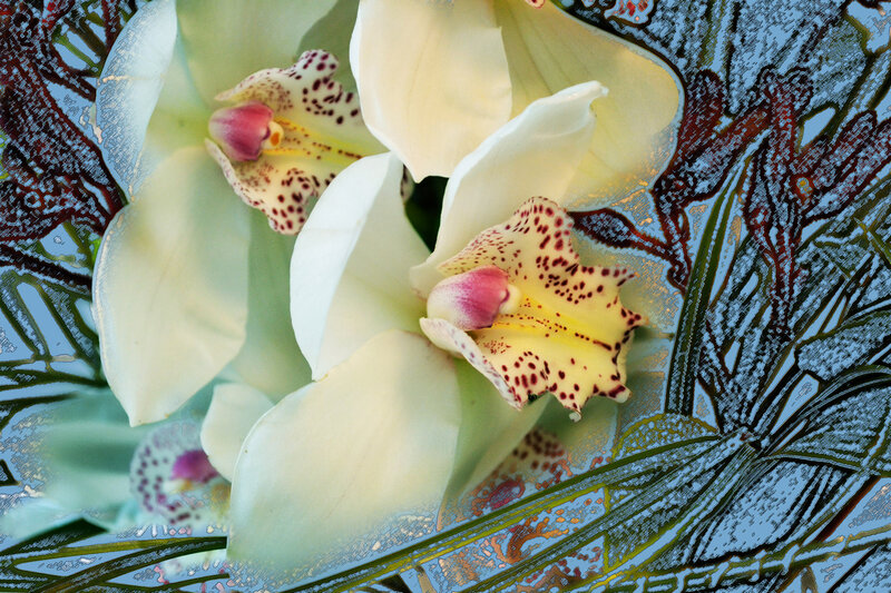 White Orchid Flowers — Calm, Digital Art