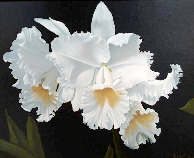 White Orchid Flowers — Dramatic, Painting