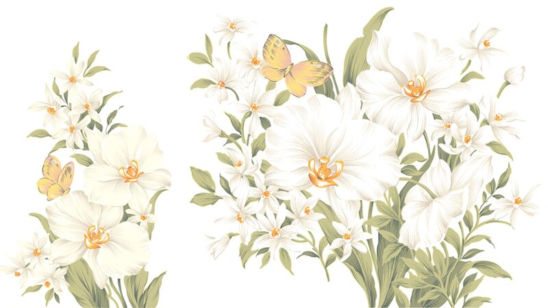 White Orchid Flowers — Serene, Illustration