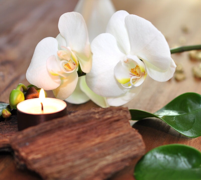 White Orchid Flowers — Serene, Photograph, Candle