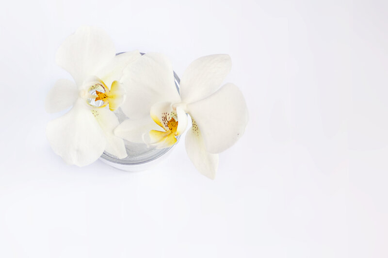 White Orchid Flowers — Serene, Photograph, Flower, Glass Container