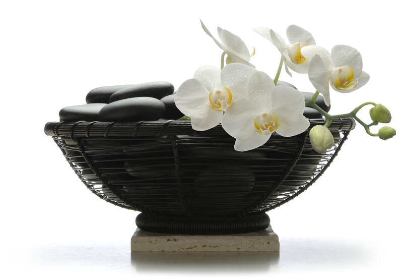 White Orchid in Basket — Serene