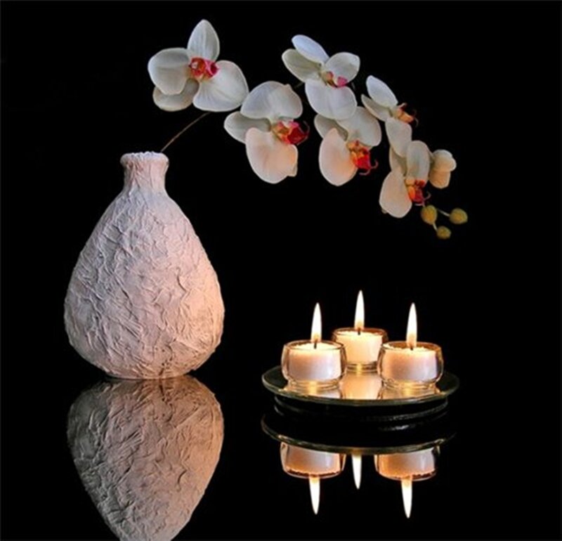 White Orchid in Vase — Black, Serene