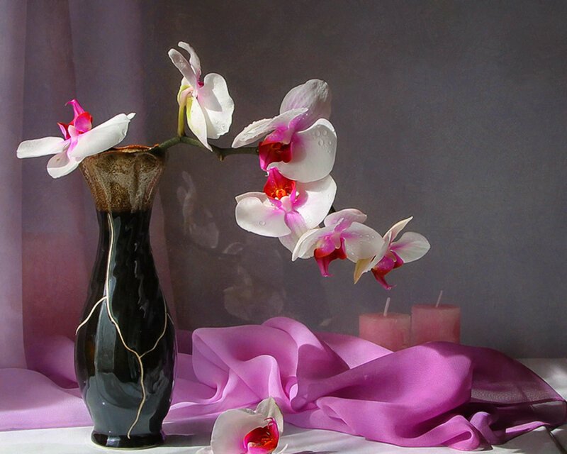 White Orchid in Vase — Purple