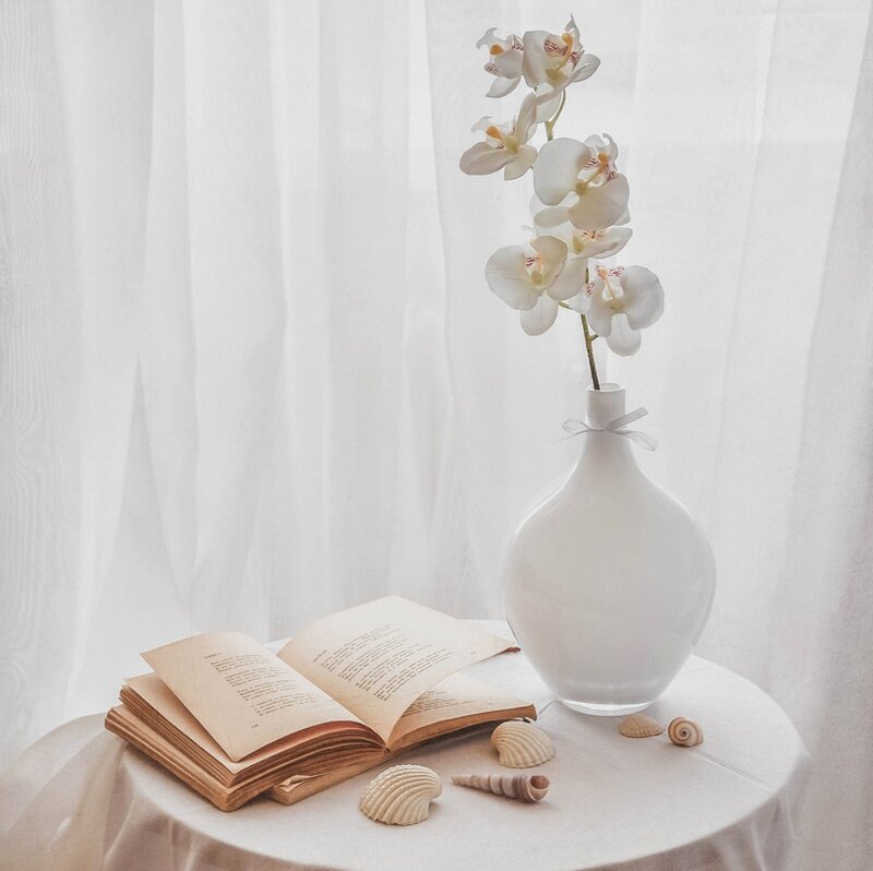 White Orchid in Vase — Serene, Morning