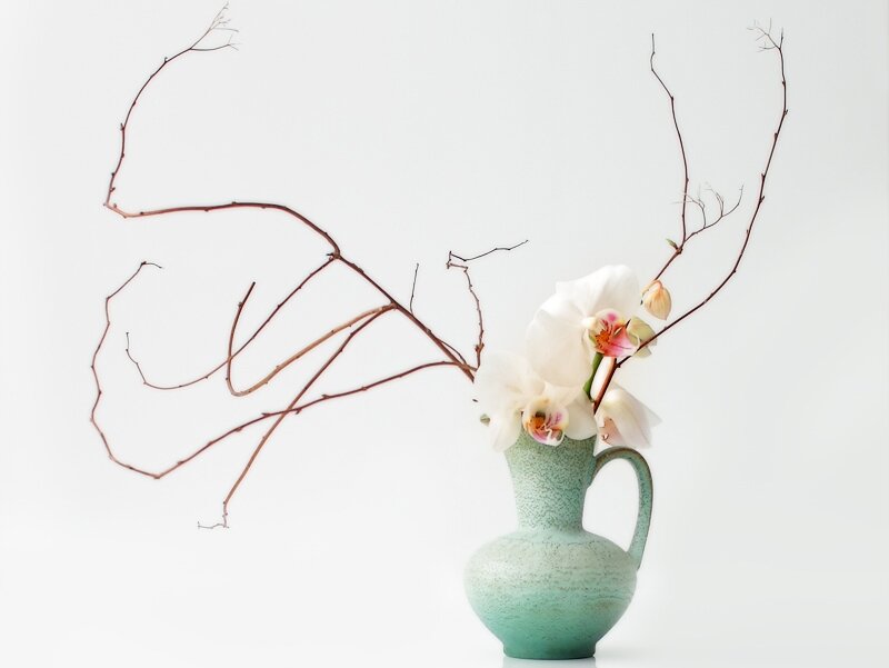 White Orchid in Vase — Serene