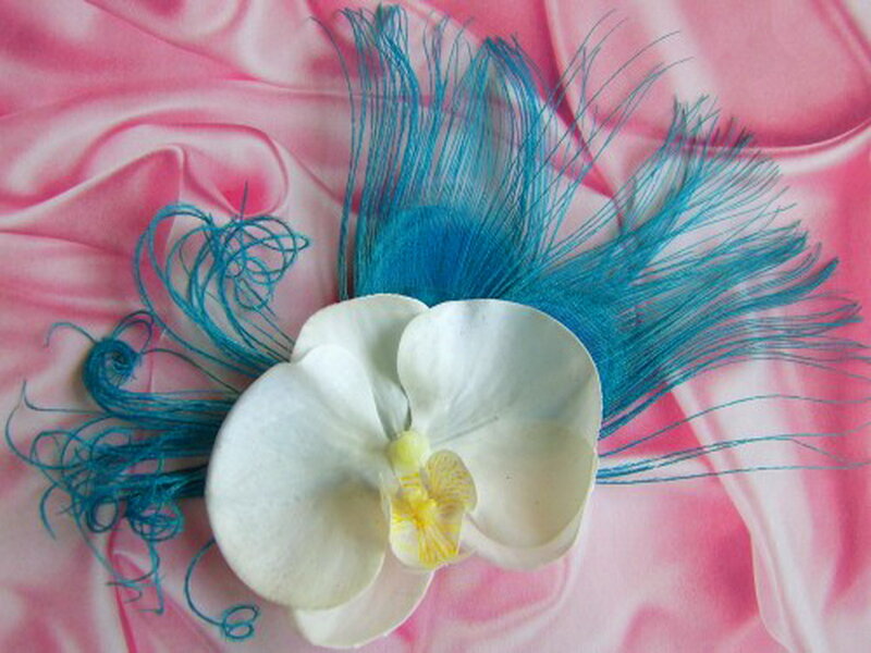 White Orchid with Blue Feathers