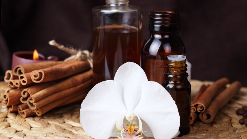 White Orchid with Cinnamon Sticks