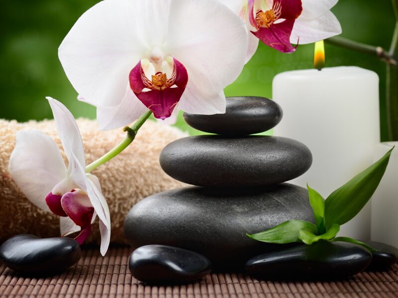 White Orchid with Stones — Serene