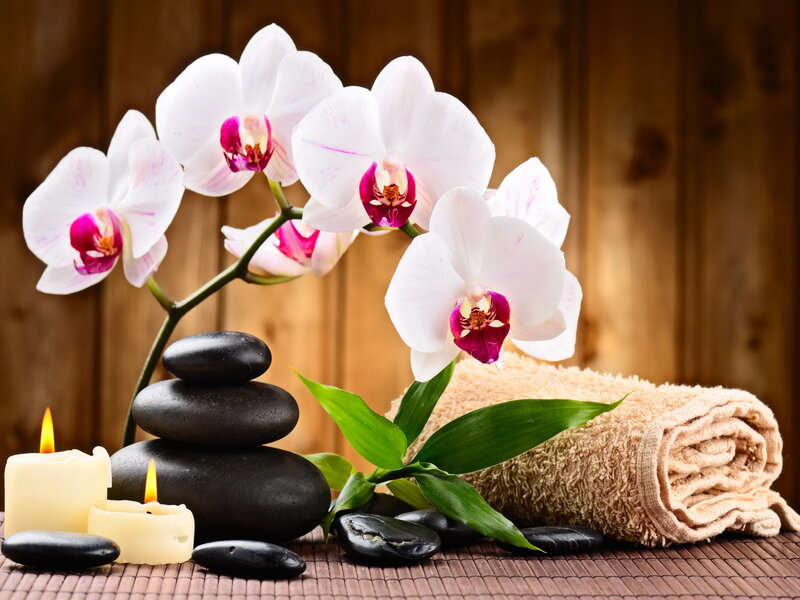 White Orchid with Stones