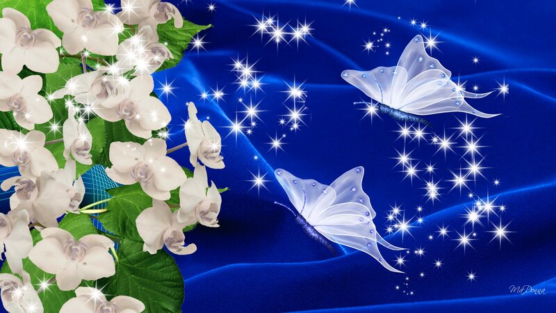 White Orchids and Butterflies