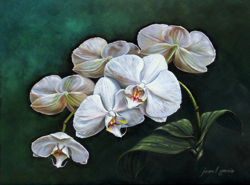 White Orchids on Green