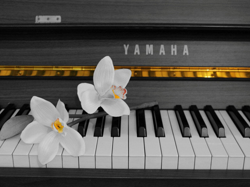 White Orchids on Piano