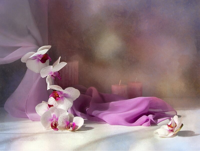 White Orchids on Purple Cloth