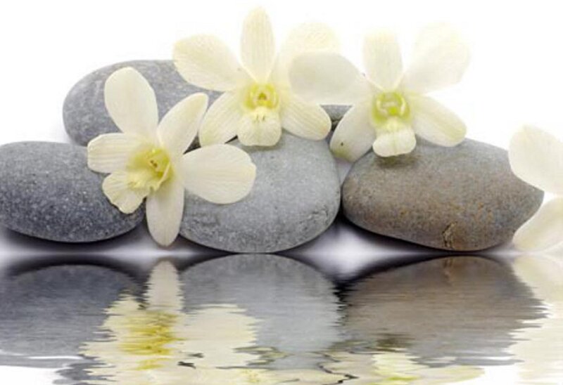 White Orchids on Stones