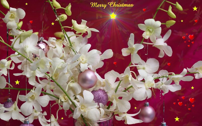 White Orchids with Ornaments