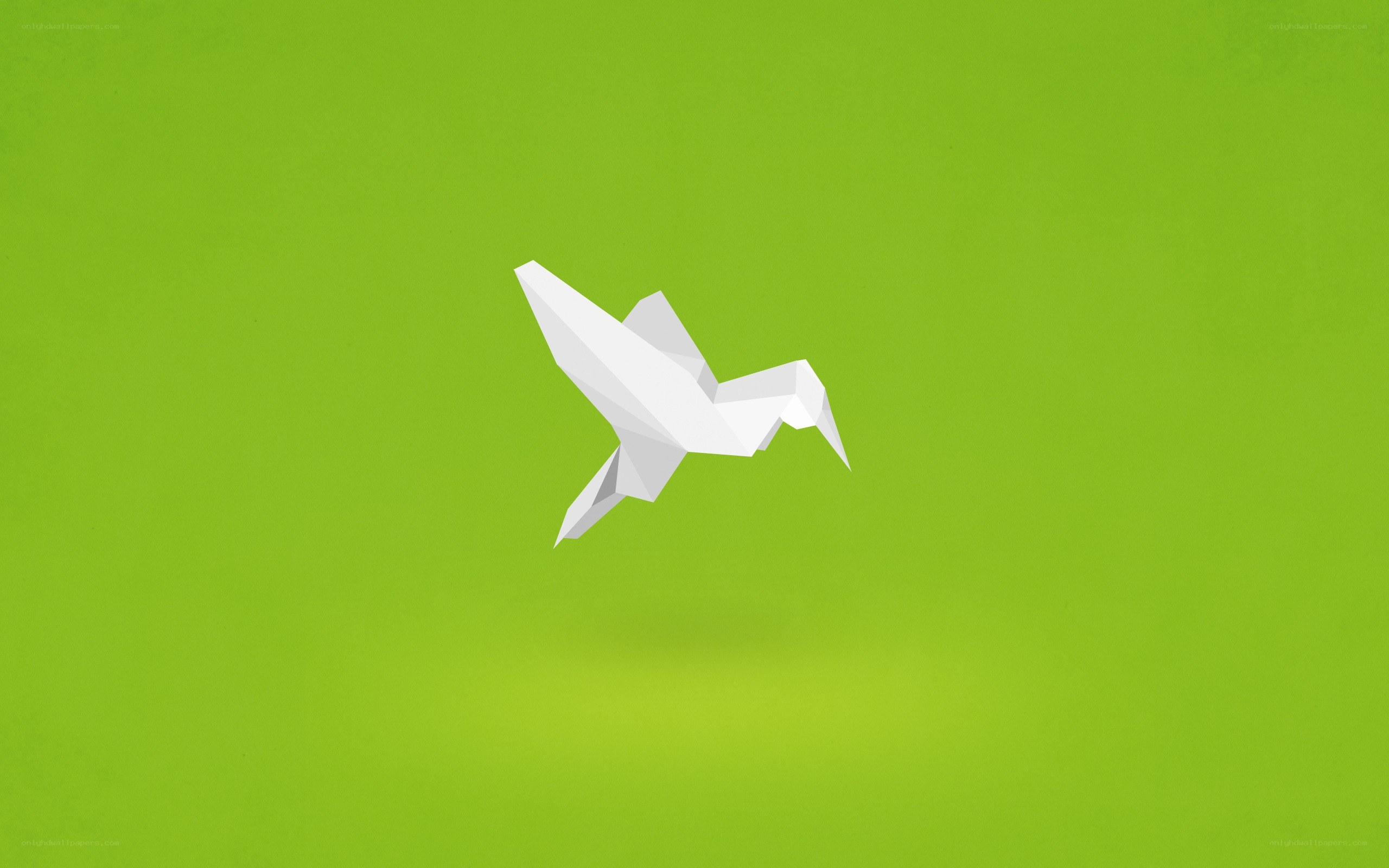 white origami bird on green