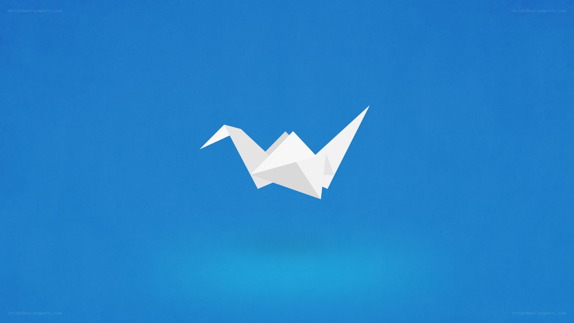 white origami crane on blue