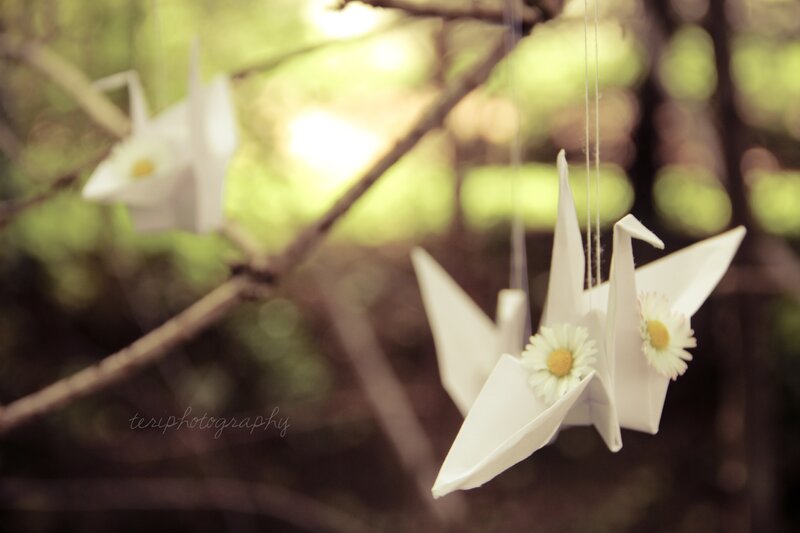 White Origami Cranes