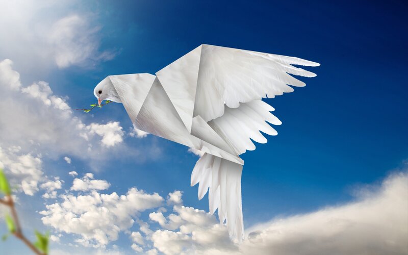 White Origami Dove