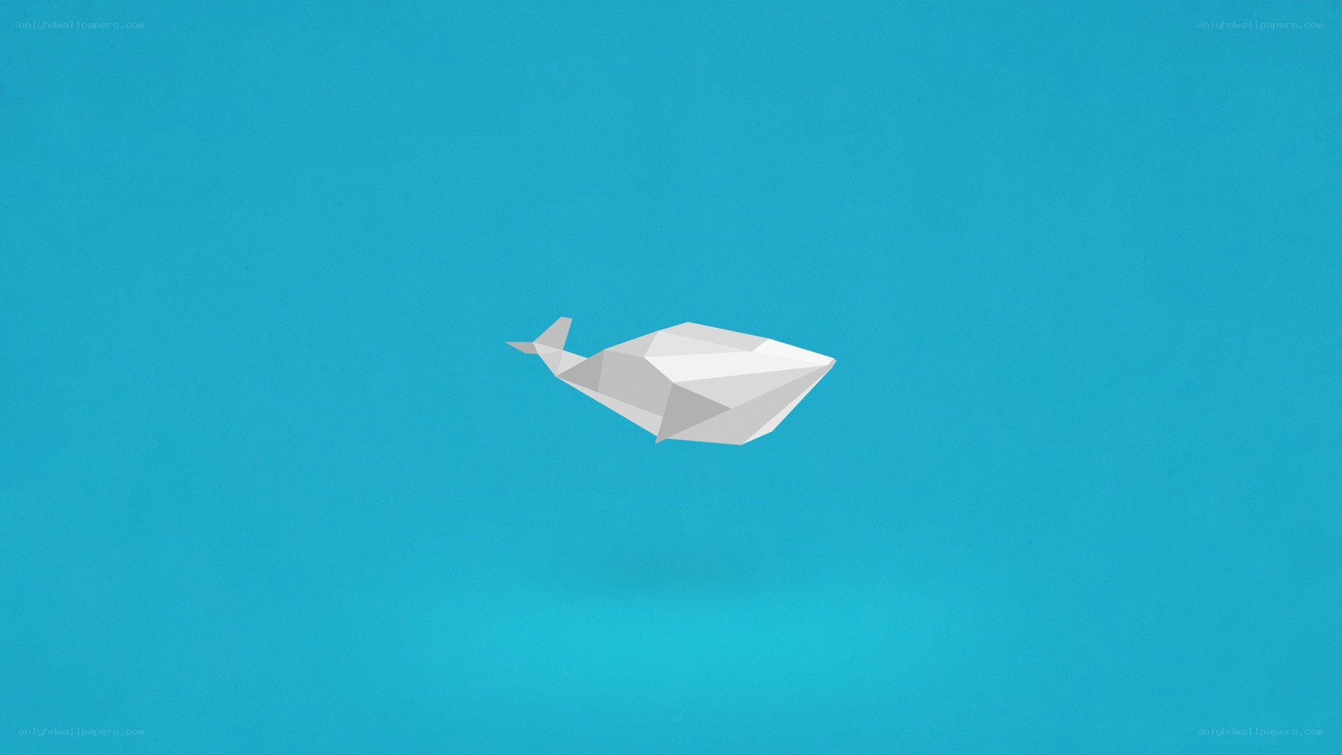 white origami whale on blue