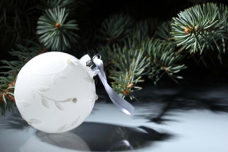 White Ornament on Branch