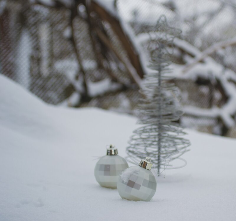 White Ornaments in Snow