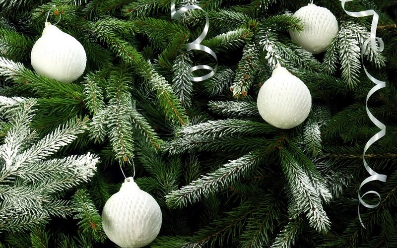 White Ornaments on Pine Branches — Green