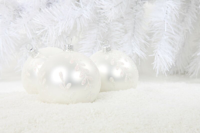 White Ornaments on Snow
