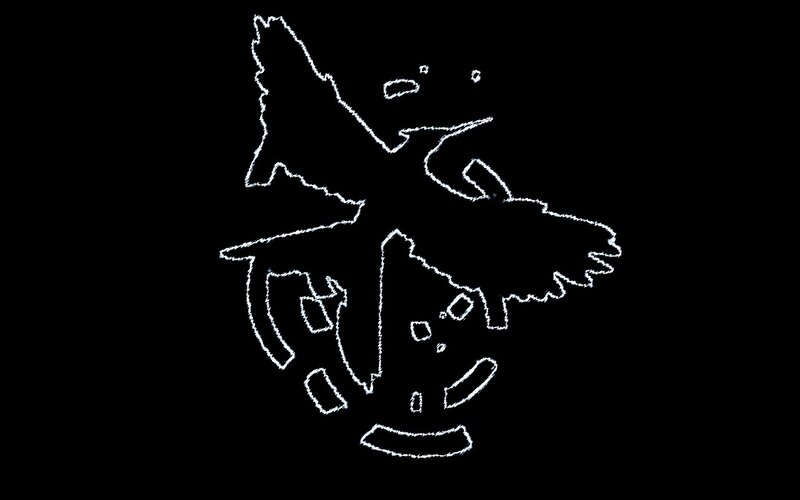 white outline of a bird