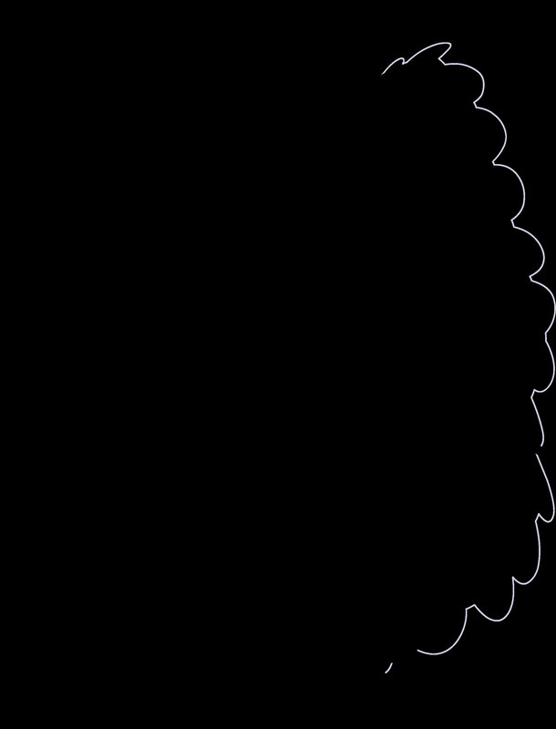 white outline of tree