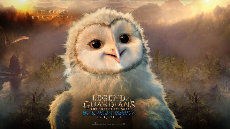 White Owl Chick — Serene