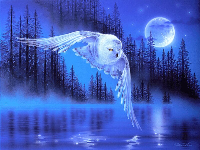 White Owl Flying