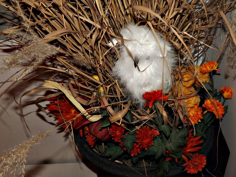 White Owl in Autumn Arrangement