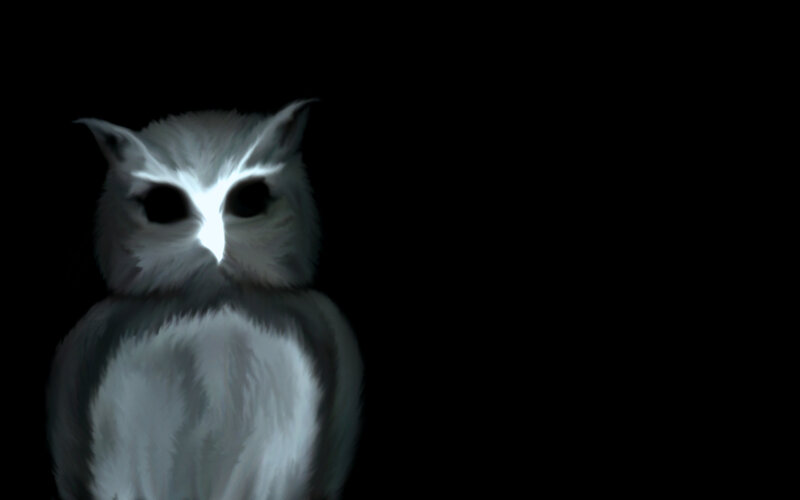 White Owl in Darkness — Black