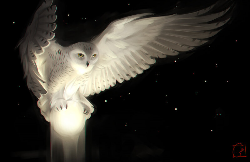 White Owl in Flight — Black, Dramatic