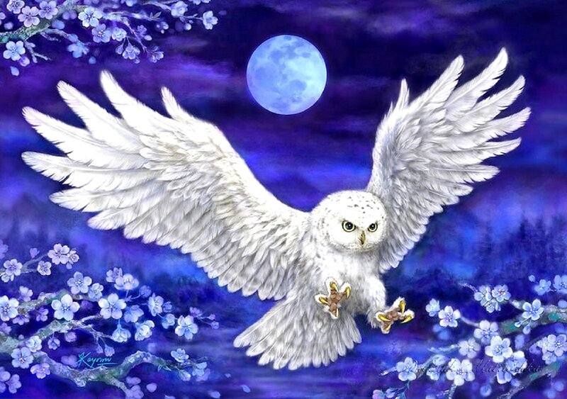 White Owl in Flight
